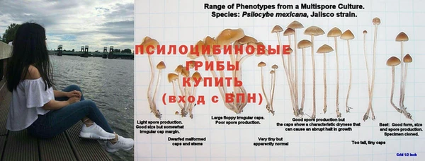 метадон Армянск