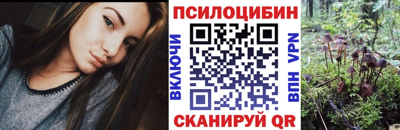 кракен онион  Тара  Галлюциногенные грибы MAGIC MUSHROOMS  купить наркотик 